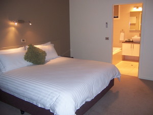 Deeluxe Riverspa Apartments Pic 3 - Studio King Spa Suite