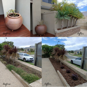 Patch Horticulture Pic 5