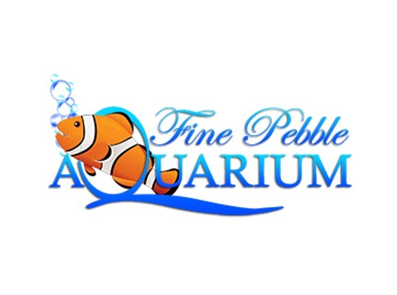 Fine Pebble Aquarium Pic 1