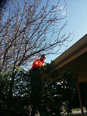 Reliance Home Maintenance Pic 4 - Handy man on your roof