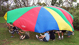 Sparrow Sports Pic 4 - parachute birthday party