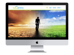 Designpluz Pic 4 - Web Design for Consulting Company