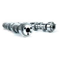 Total Performance Pic 3 - camshaft