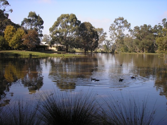 The Burrow at Wombat Bend B&B Pic 1 - The beautiful billabong