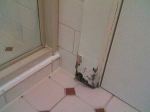 AAA Shower Seal Pic 5 - typical damage