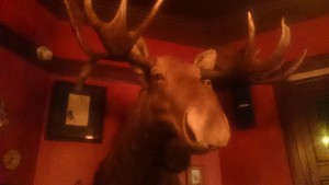 Keg and Brew Hotel Pic 5 - The Moose Head