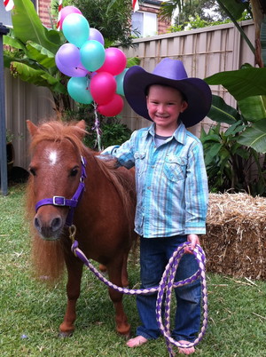 Animals 2 U Pic 4 - Pony Rides Pony Parties by Animals 2U