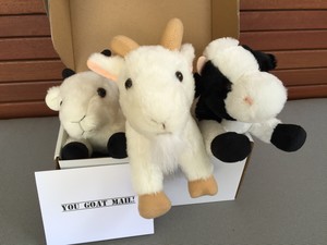 You Goat Mail Pic 3