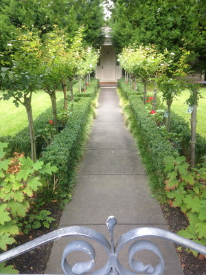 Tickled Pink Gardening Pic 3 - Hedge trimming rose pruning pest disease control lawn fertilising weed control