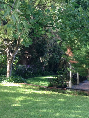 Tickled Pink Gardening Pic 4 - Lawn fertilising weed control