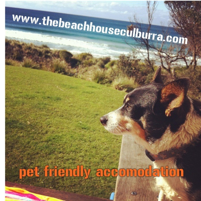 The Beach House Culburra Pic 1 - wwwthebeachhouseculburracom