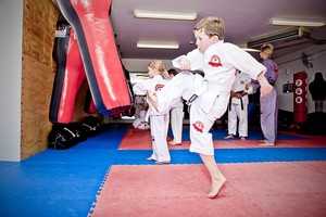 Mosman Martial Arts Academy Pic 5