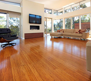 Bamboo Australia Pic 3 - Top quality Bamboo flooring and flooring accessories Once you have had a Bamboo timber floor you will never look back