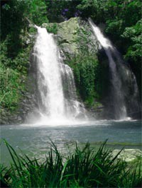 No Worries Tours Pic 2 - no worries tours cassowary falls