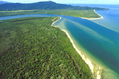 No Worries Tours Pic 1 - no worries tours mouth of the daintree river