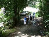 No Worries Tours Pic 3 - no worries tours walking in the rainforest