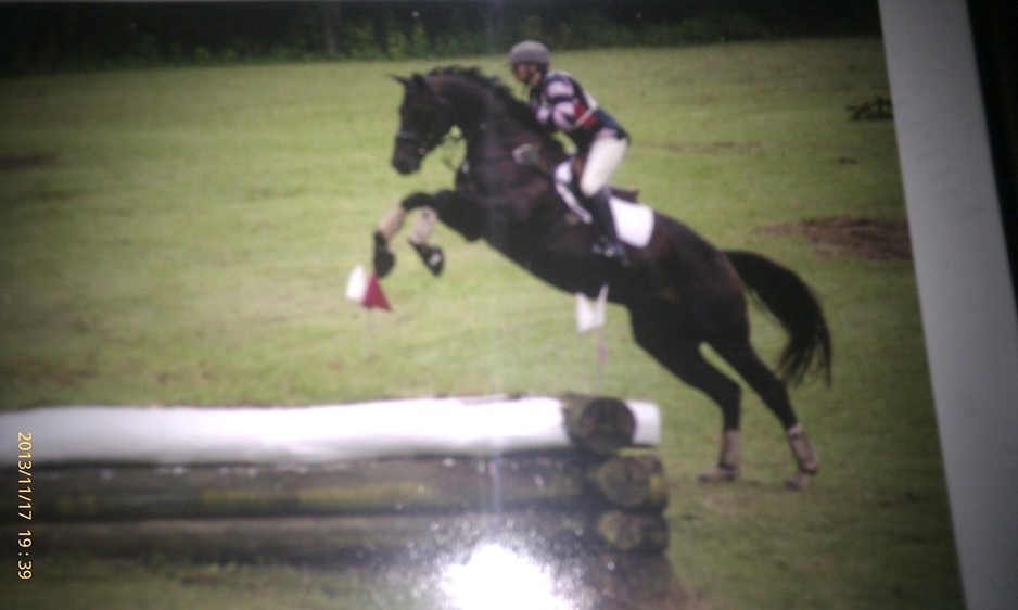 Foxhill Equestrain Pic 1