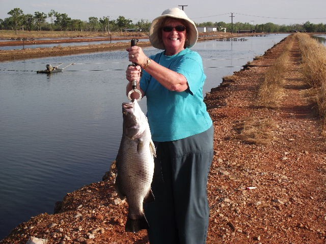 FlickingFresh Pic 1 - Fresh fillets for dinner