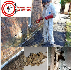 Campbelltown Pest Control Pic 5