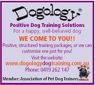 Dogology Positive Dog Training Solutions Pic 1 - We Come to YOU