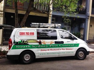 South Sydney Pest Control Pic 4