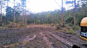 Blue Dot Excavations Pic 4 - Tree and Gorse Removal and Land Clearing