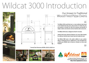 My Pizza Oven Pic 2 - Wildcat 3000 Wood Fired Pizza Oven