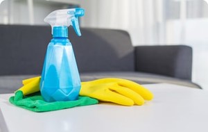 Melbourne Cleaning Expert Pic 3