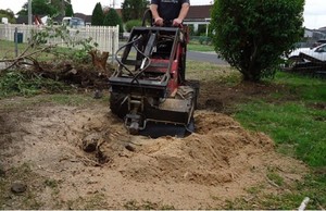 Mark's Dingo Hire Windsor Pic 2 - Dingo Stump Grinding