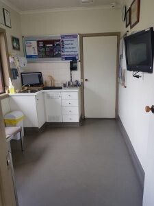 Keysborough Veterinary Practice Pic 3 - Pet care