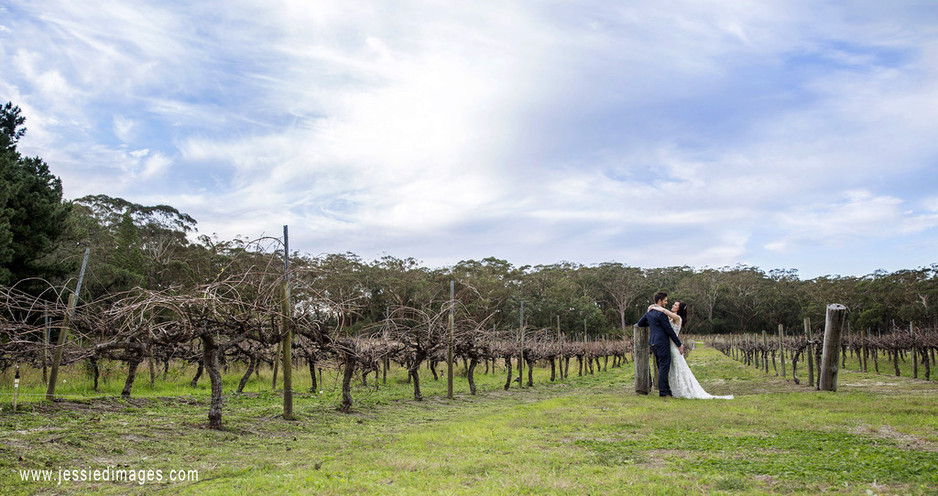 Jessie D Images Pic 1 - Wedding Photography by Jessie D Images Image location Murrarys Brewery bobs farm nsw