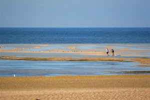 Port Vincent Foreshore Caravan Park Pic 2 - Looking for cabs on the back beach