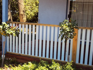 Matt Byrnes Pic 2 - Balustrading