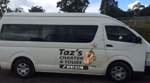 Taz's Taxi Pic 3 - our new 13 pax aka BullFrog