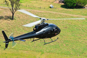 Brisbane Helicopters Pty Ltd Pic 2 - Eurocopter AS350 Squirrel