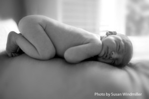 Susan Windmiller Photography Pic 3 - Archie 12 days old