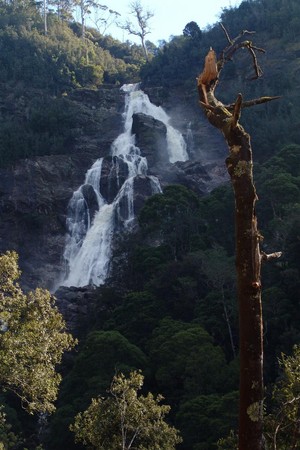 St Helens B&B Pic 5 - ST COLUMBA FALLS ST HELENS TASMANIA