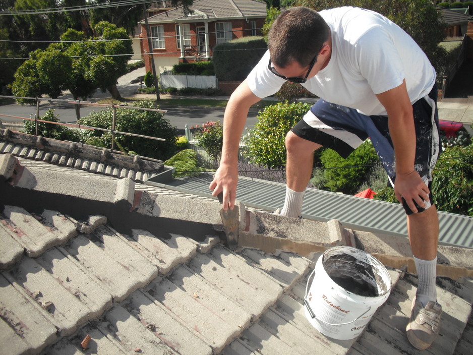 Apoint Roof Restorations Pic 1 - all flexi repointing