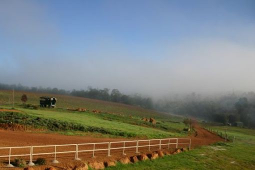 Harris River Estate Pic 1 - a beautiful misty vineyard morning