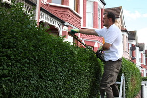 Gardeners Clayton Pic 5