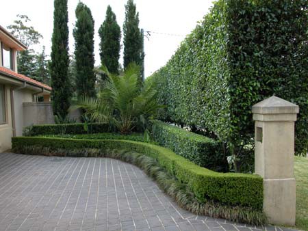 Michael's Mowing & Maintenance Pic 1 - hedging