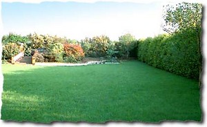 Michael's Mowing & Maintenance Pic 4 - large area cutting