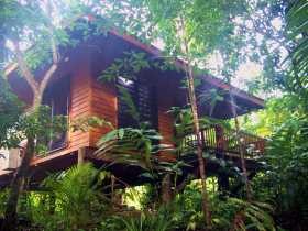 Cape Trib Exotic Fruit Farm Pic 1 - Cape Trib Exotic Fruit Farm Bed and Breakfast