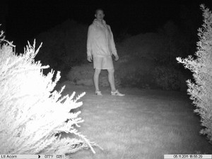 After Dark Surveillance Pic 5