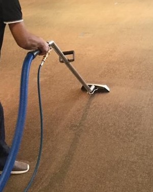 Trilogy Facilities Maintenance Pic 3 - Carpet Steam Cleaning