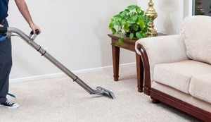 Carpet Cleaning Jimboomba Pic 3