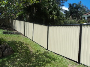 Edge Fencing Pic 4 - Colorbond