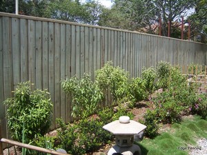 Edge Fencing Pic 3 - Lapped and capped