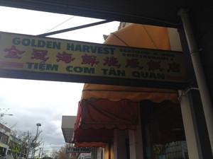 Golden Harvest Pic 3