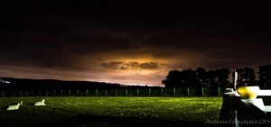 Wildwood Vineyards Pic 2 - Wildwood at Night